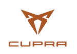 Garage cupra 17